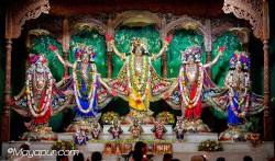 Daily Darshan