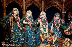 Daily Darshan