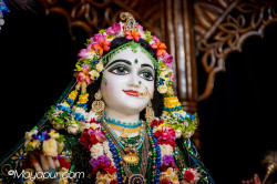 Daily Darshan