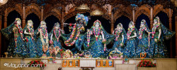 Daily Darshan