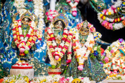 Daily Darshan