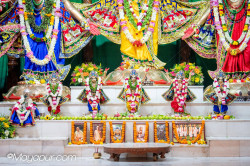 Daily Darshan
