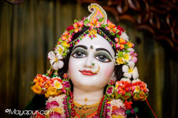 Daily Darshan
