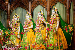 Daily Darshan