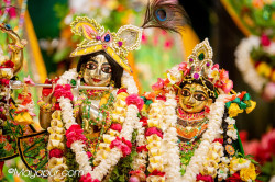 Daily Darshan