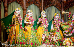 Daily Darshan