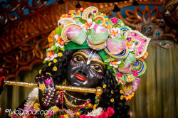 Daily Darshan