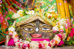 Daily Darshan