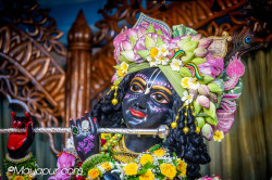 Daily Darshan