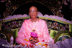Daily Darshan