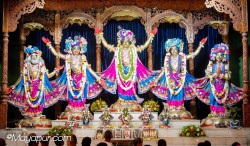 Daily Darshan