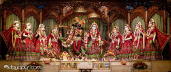 Daily Darshan