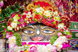 Daily Darshan