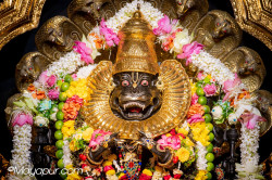 Daily Darshan
