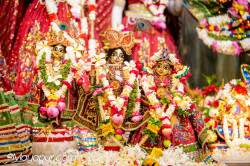 Daily Darshan
