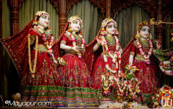 Daily Darshan