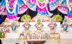 Daily Darshan