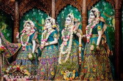 Daily Darshan