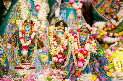 Daily Darshan