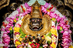 Daily Darshan