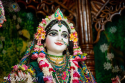 Daily Darshan
