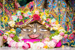 Daily Darshan
