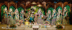 Daily Darshan