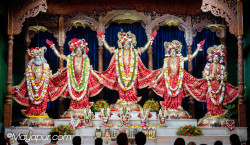 Daily Darshan