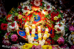 Daily Darshan