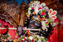 Daily Darshan