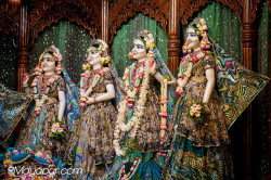 Daily Darshan