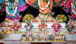 Daily Darshan