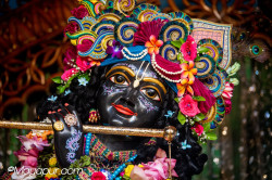 Daily Darshan