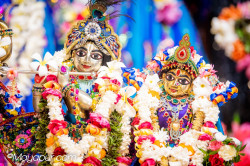 Daily Darshan