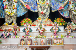 Daily Darshan
