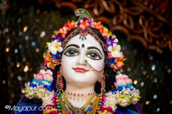 Daily Darshan