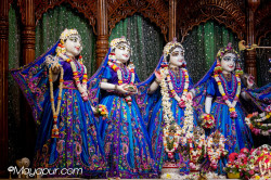 Daily Darshan