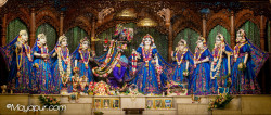 Daily Darshan