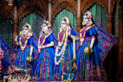 Daily Darshan