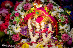 Daily Darshan