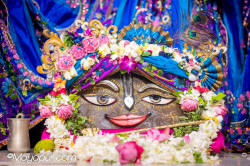 Daily Darshan
