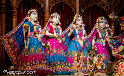 Daily Darshan