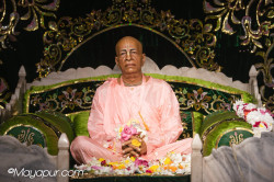 Daily Darshan