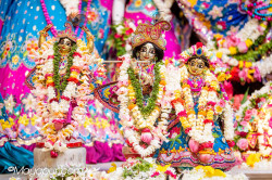 Daily Darshan