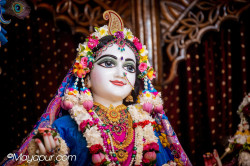 Daily Darshan