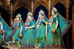 Daily Darshan