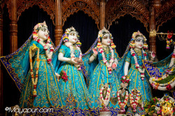 Daily Darshan