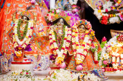 Daily Darshan