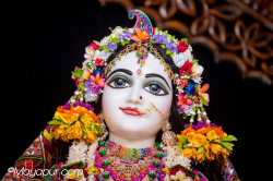 Daily Darshan