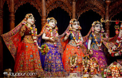 Daily Darshan